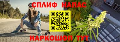 тгк Гай