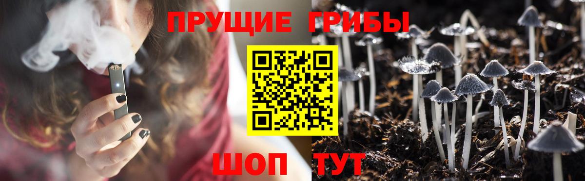 Псилоцибиновые грибы GOLDEN TEACHER  Вход с VPN  Мурманск 